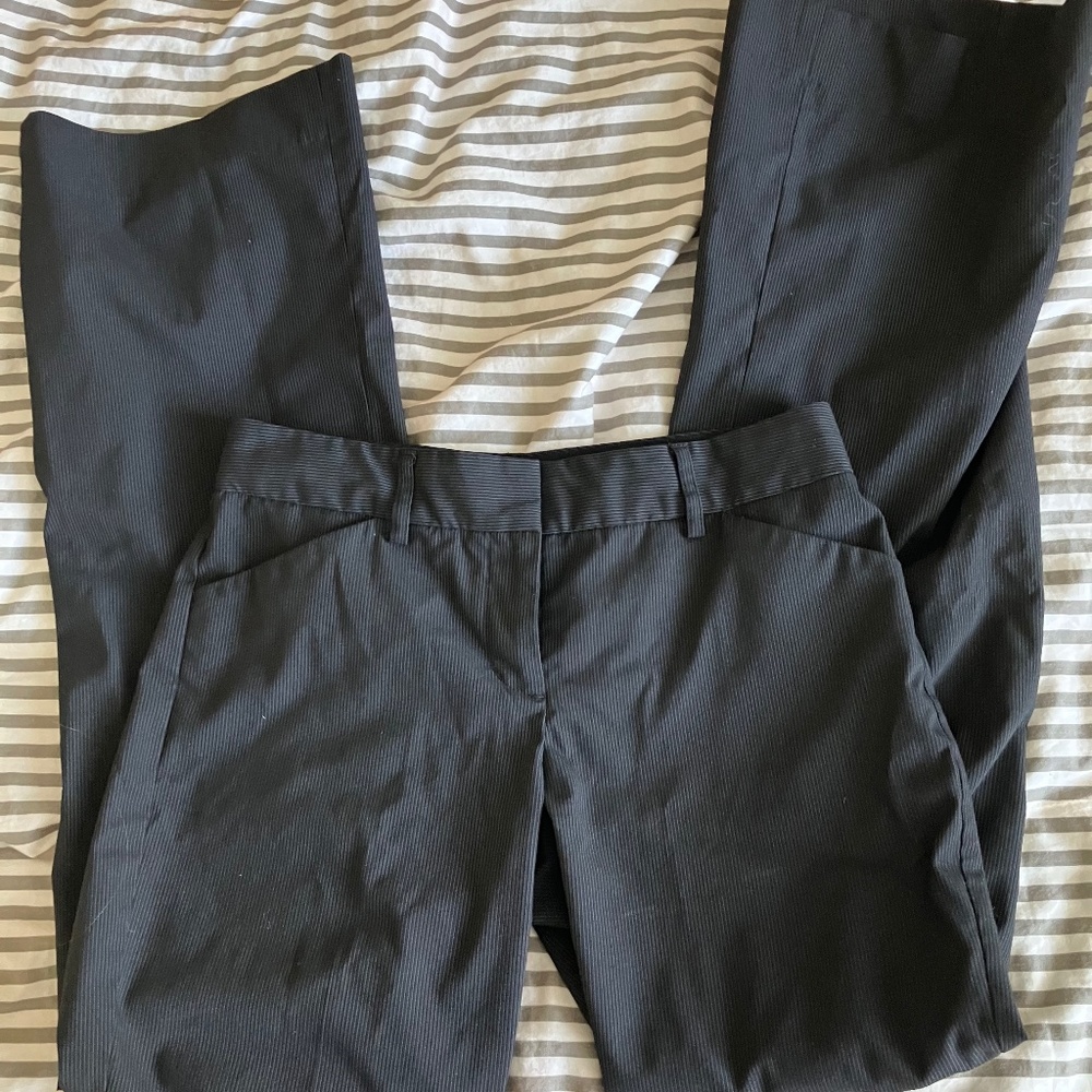 Express Touser Pants